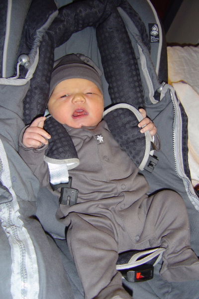 Image 11 of 56  -  56 kB